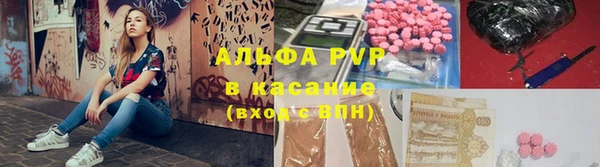 трава Пересвет