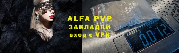 трава Пересвет