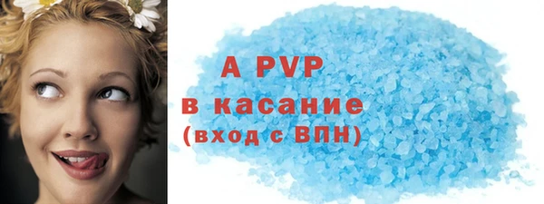 трава Пересвет