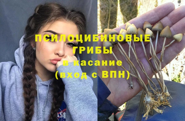 ALPHA PVP Пестово