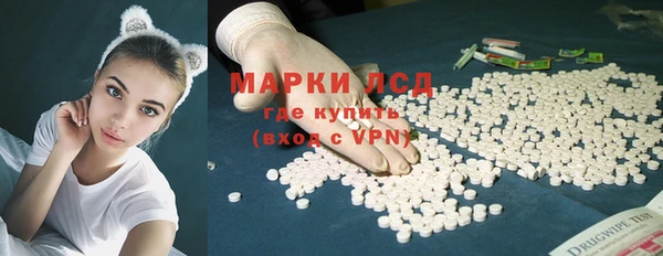 трава Пересвет
