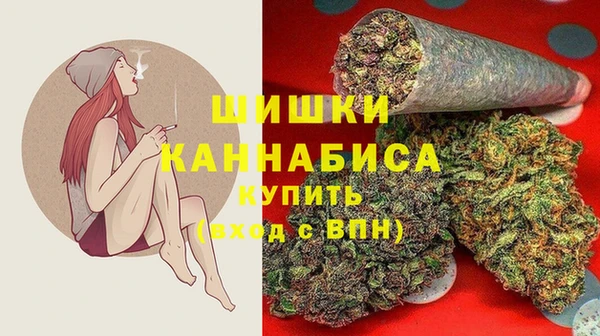 тгк Переславль-Залесский