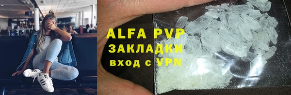 трава Пересвет