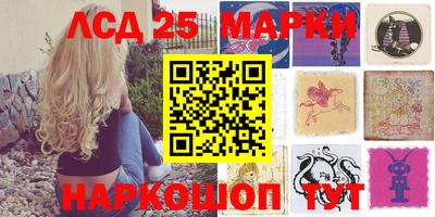 гидра Заводоуковск