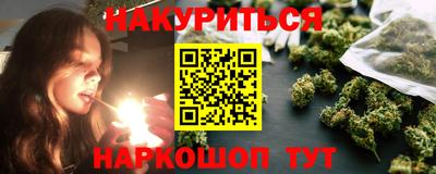 гидра Заводоуковск