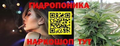 гидра Заводоуковск