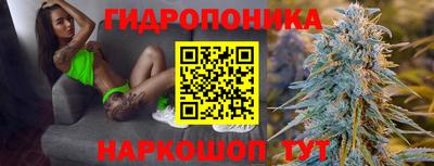 гидра Заводоуковск