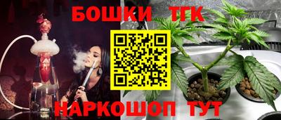 мдпв Жуковский