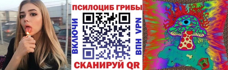 Псилоцибиновые грибы Psilocybine cubensis  кракен ссылки  Северск  где найти наркотики 