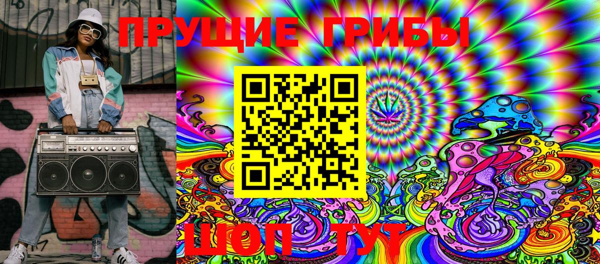 Псилоцибиновые грибы Psilocybine cubensis  Псилоцибиновые грибы мухоморы  Северск 