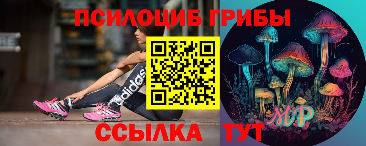 Псилоцибиновые грибы Psilocybe  Псилоцибиновые грибы GOLDEN TEACHER  Вход с VPN  Северск 